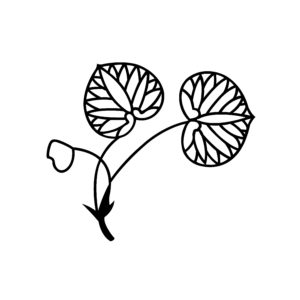 葵柄の着物は春に着よう