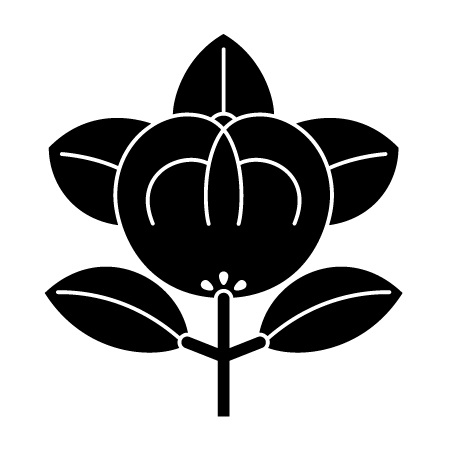 橘柄の着物は通年 冬 正月に着よう わかる着物の柄