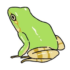 蛙（かえる）の画像
