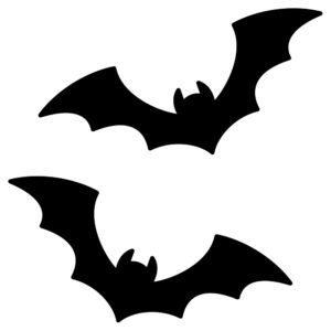 蝙蝠の画像
