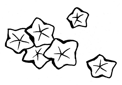 光琳紅葉の着物の柄の画像