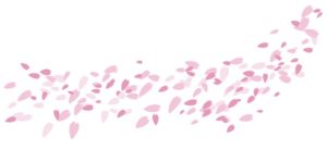 桜吹雪の画像