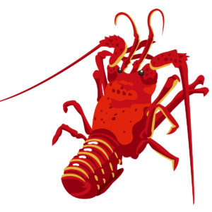 海老の着物の柄の画像