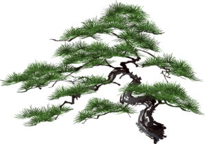 老松の着物の柄の画像